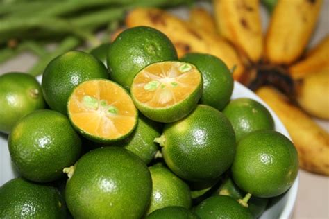calamansi in English .